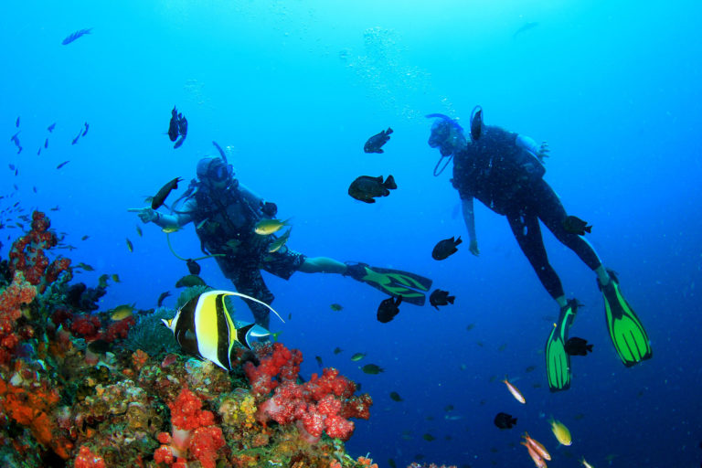 Ultimate Philippines Diving Guide Designer Journeys Travel Blog