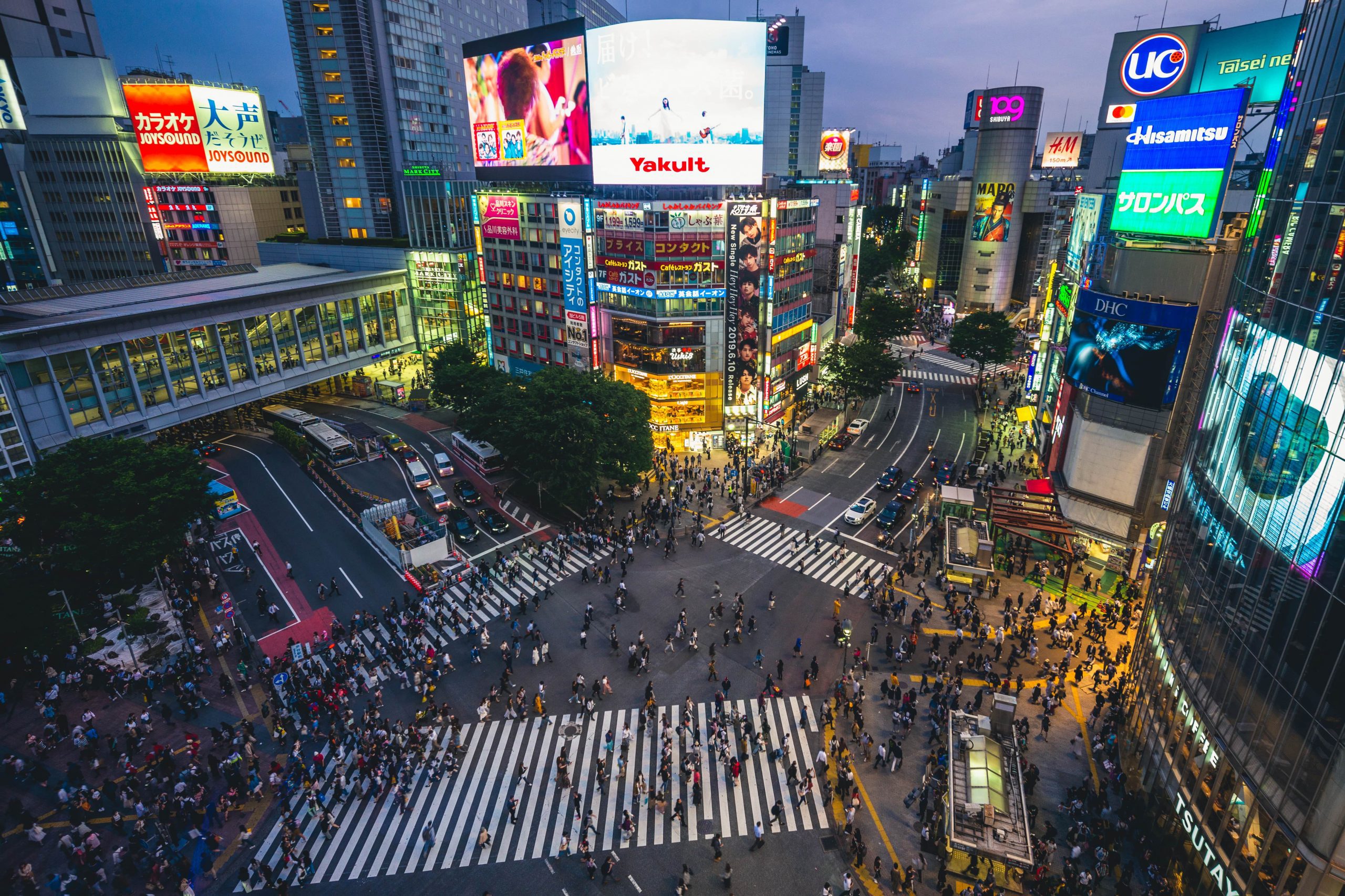 Tokyo buzzes with energy even on rainy days.