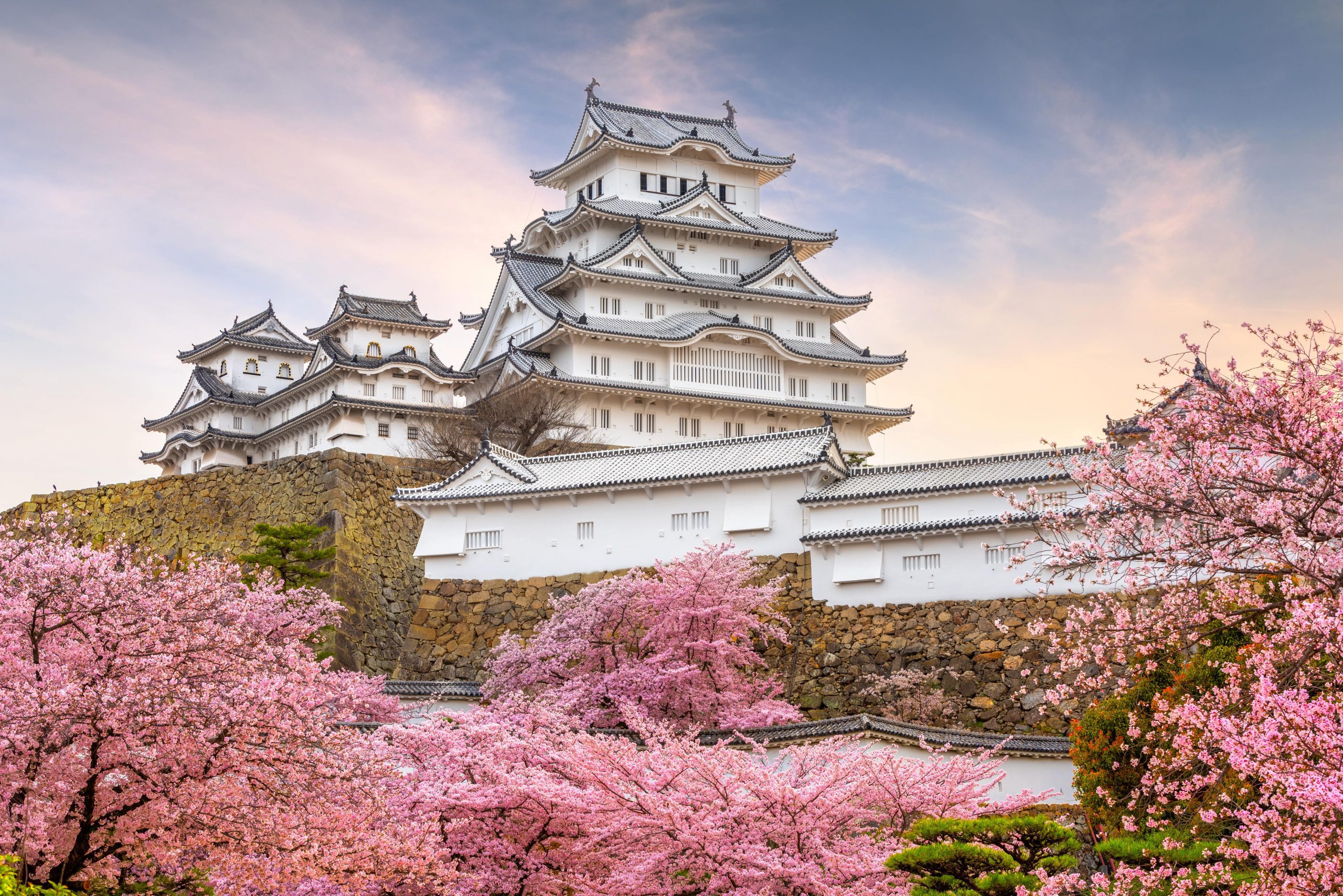 Himeji Castle in Spring.