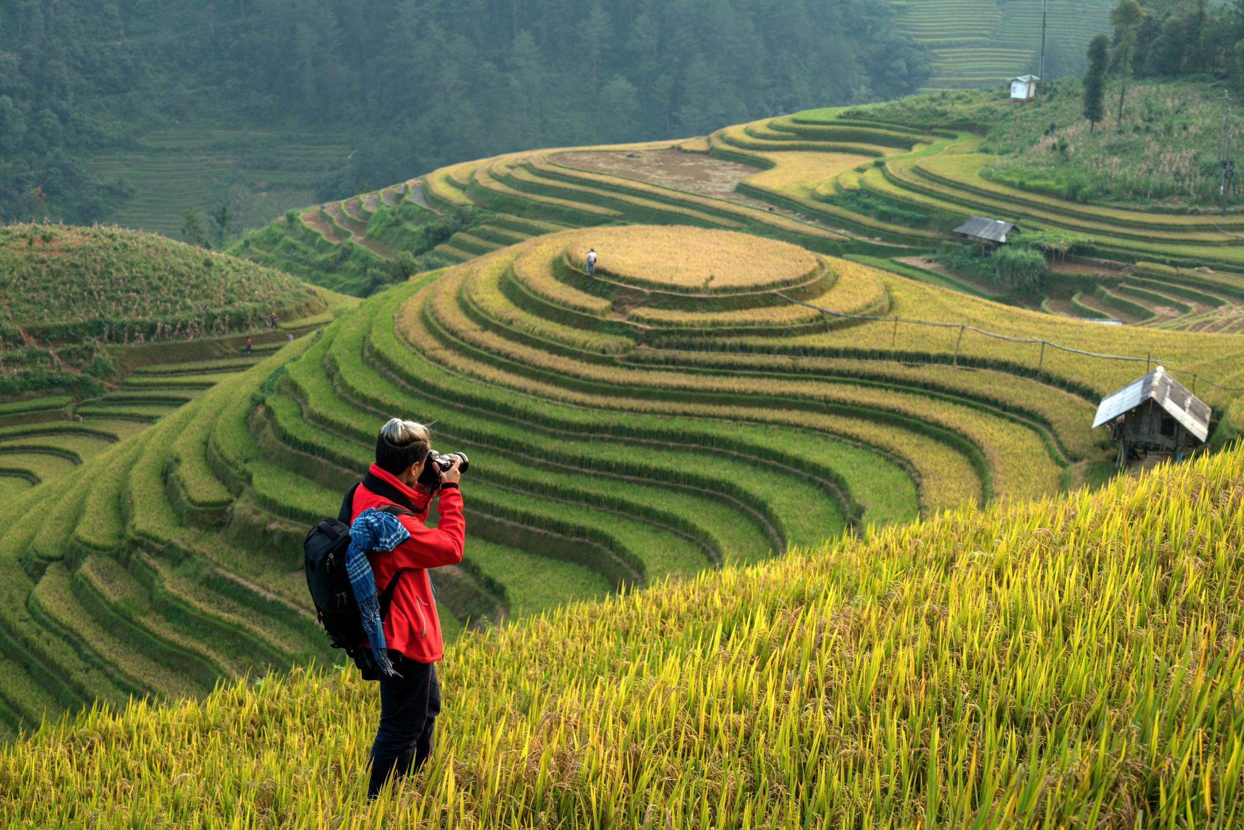 Choosing the best month to visit Vietnam that matches your style, comfort, and desired experiences.