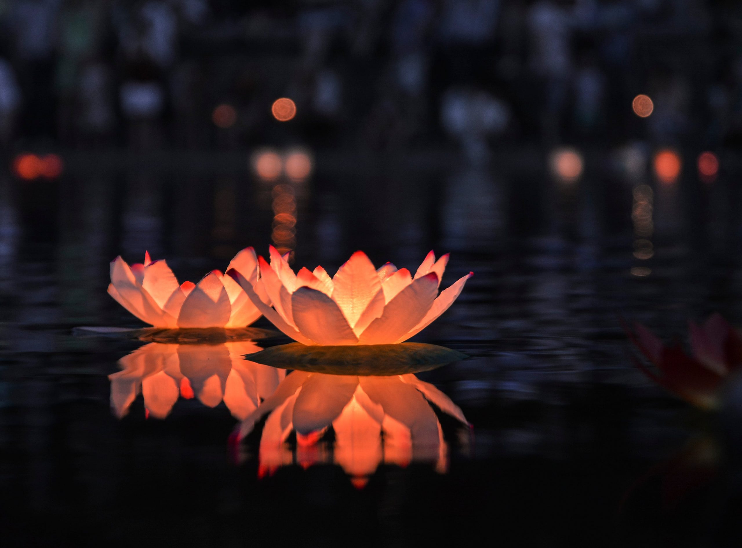 Wandering Souls Day is one of the most moving and spiritual cultural events in Vietnam.