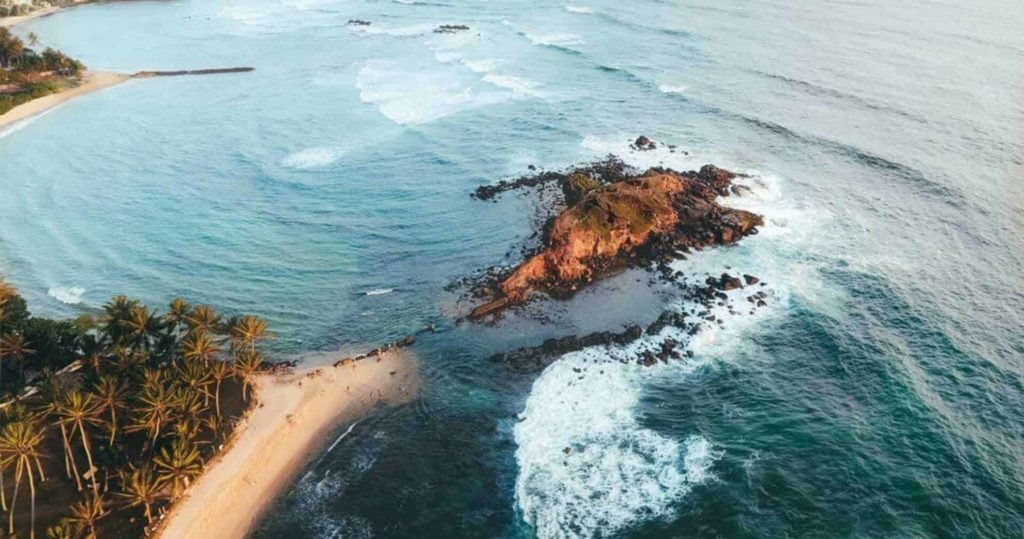 Beyond the marine life, the rock serves as a habitat for various avian species.