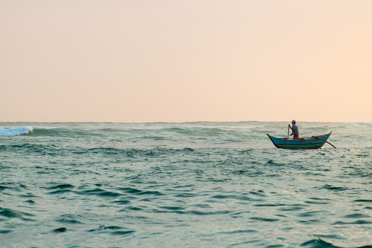 Mirissa is globally recognized as one of the best places for whale and dolphin watching.