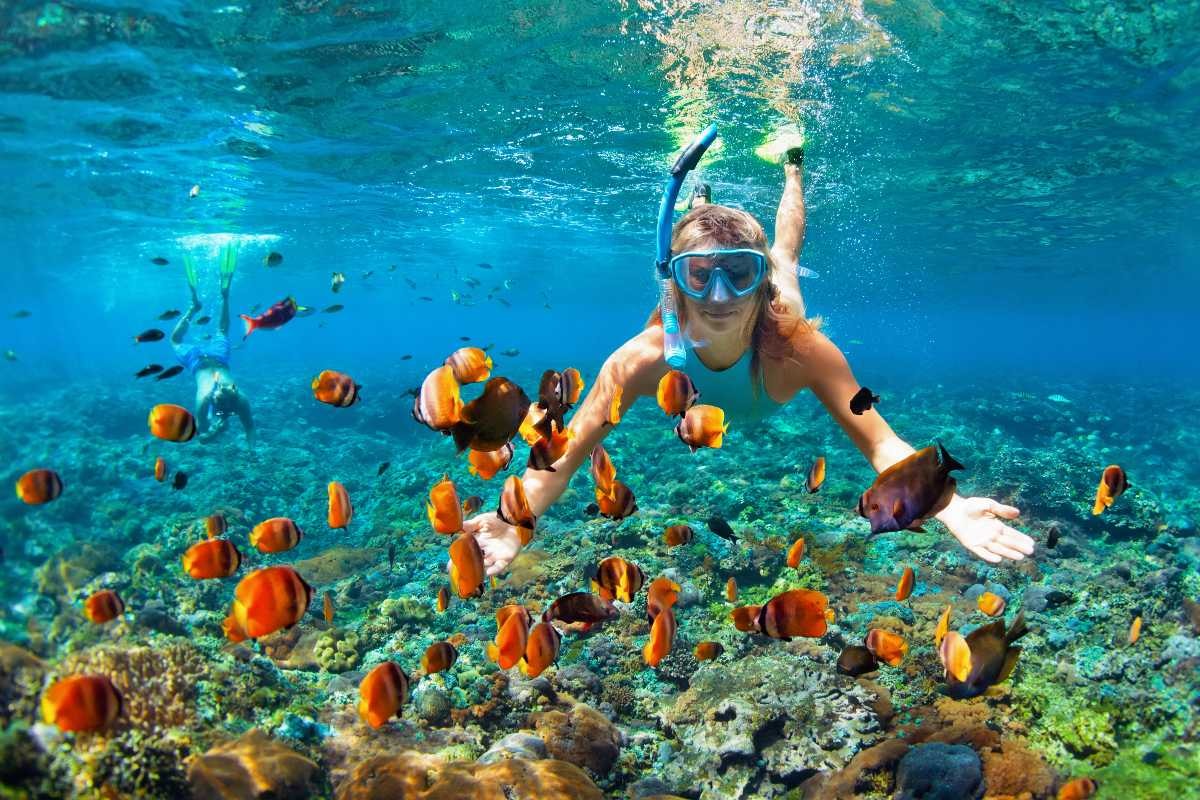 Sri Lanka's largest coral reef, where you can see various corals, fish, turtles, and even reef sharks and manta rays.
