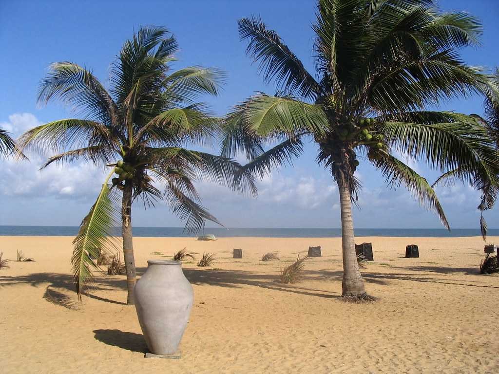 Negombo is renowned for its fresh seafood delicacies, including crab, prawns, and various fish dishes.