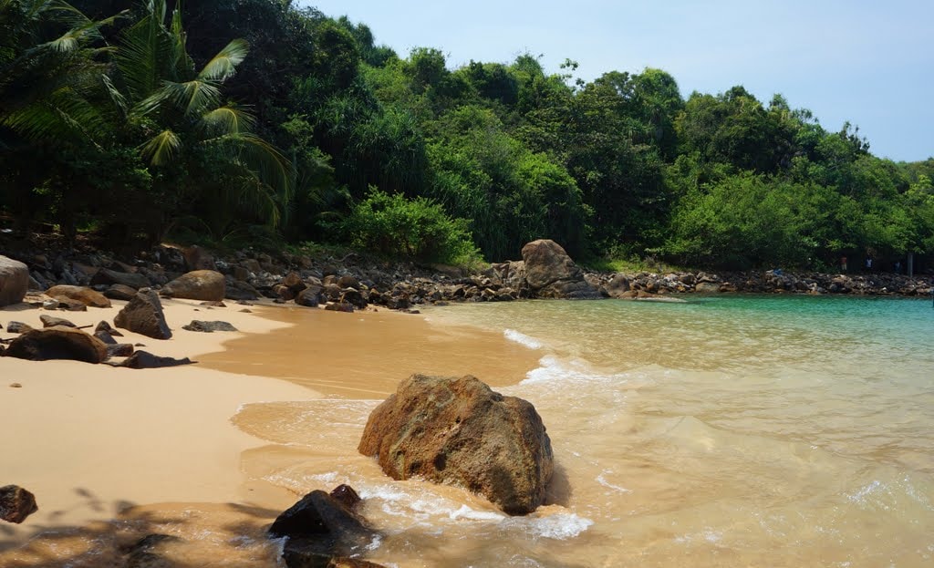 The beach gets its name from the dense tropical forest that surrounds it.