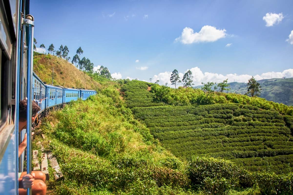 The region is characterized by rolling green hills, misty mornings, and vast tea plantations that carpet the slopes.