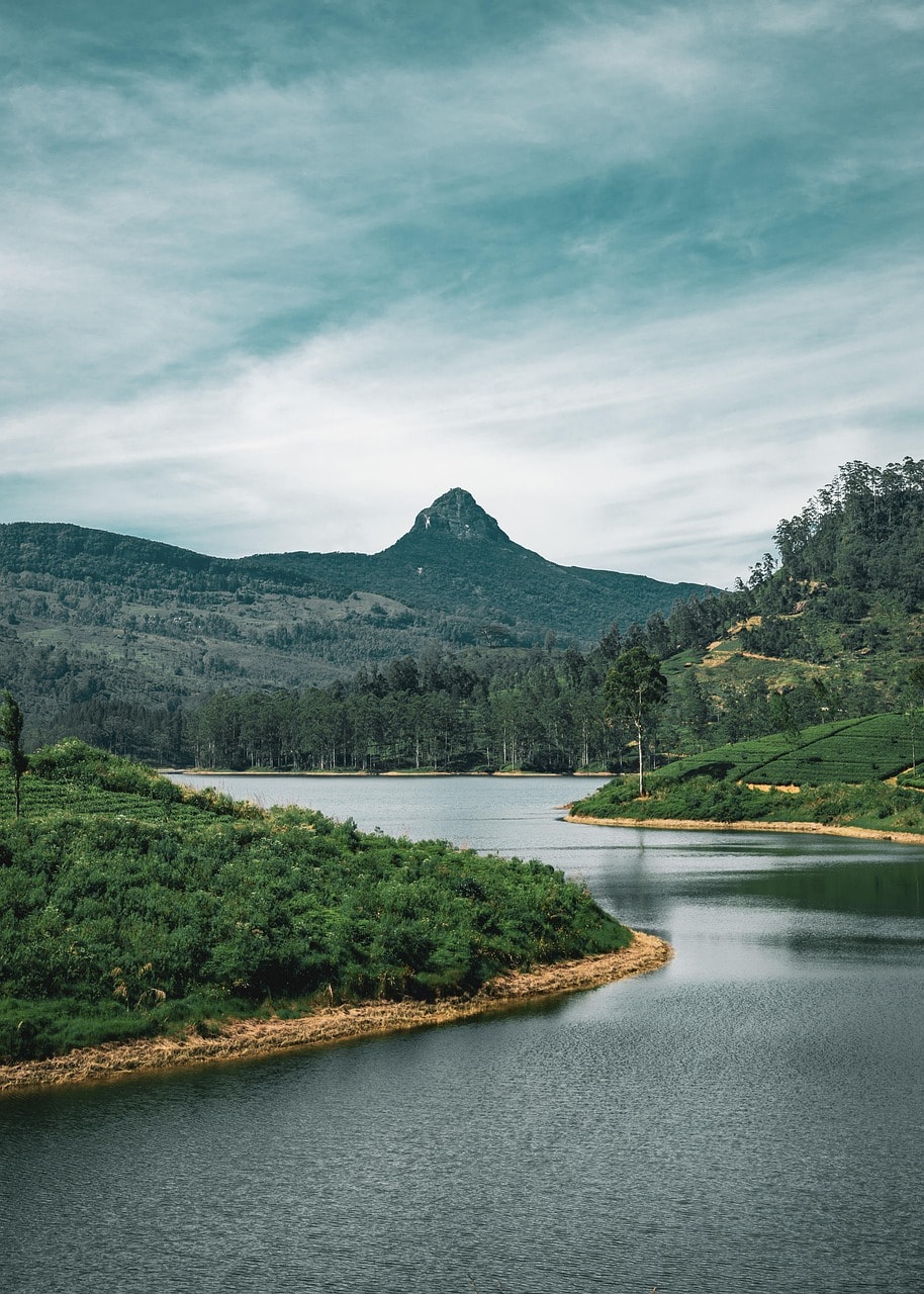 This scenic artificial lake lies serenely beside the Temple of the Sacred Tooth Relic.