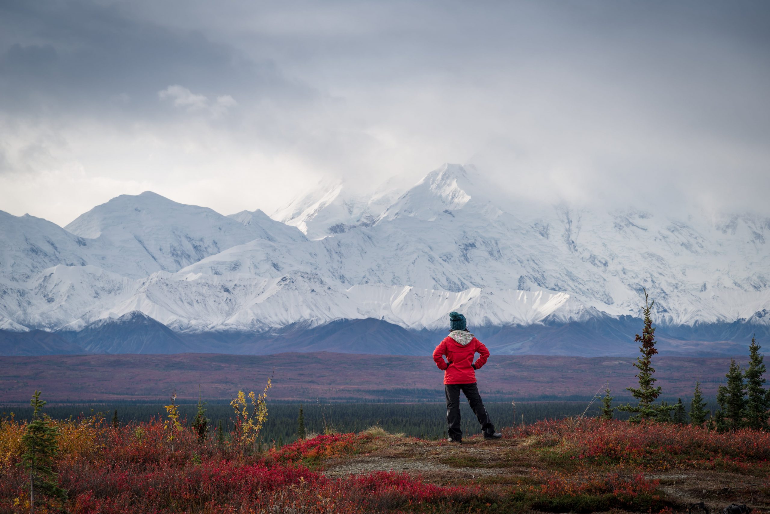 Hiker in front of Mount Denali.