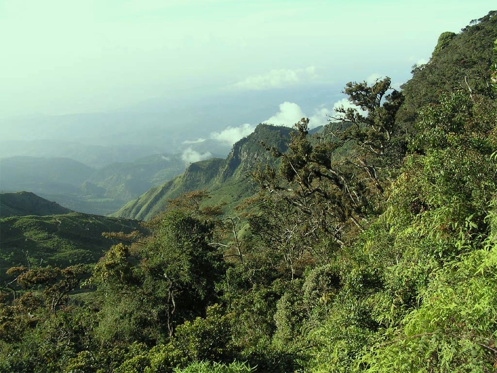 The park offers a popular 9 km circular trekking route that takes around three hours to complete.