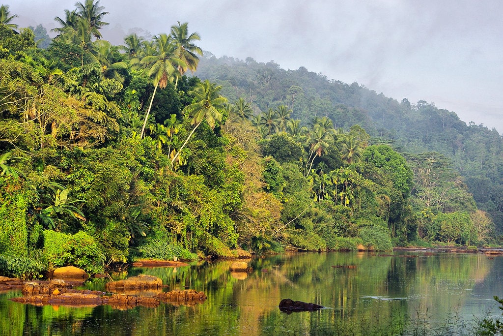 The river is a vital resource for Sri Lanka. It serves as a major source of drinking water for the city of Colombo.