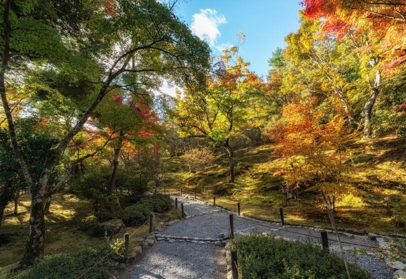Tenryu-ji Temple is one of the most important Zen temples in Kyoto.