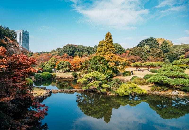 Shinjuku Gyoen Park in autumn in Tokyo.