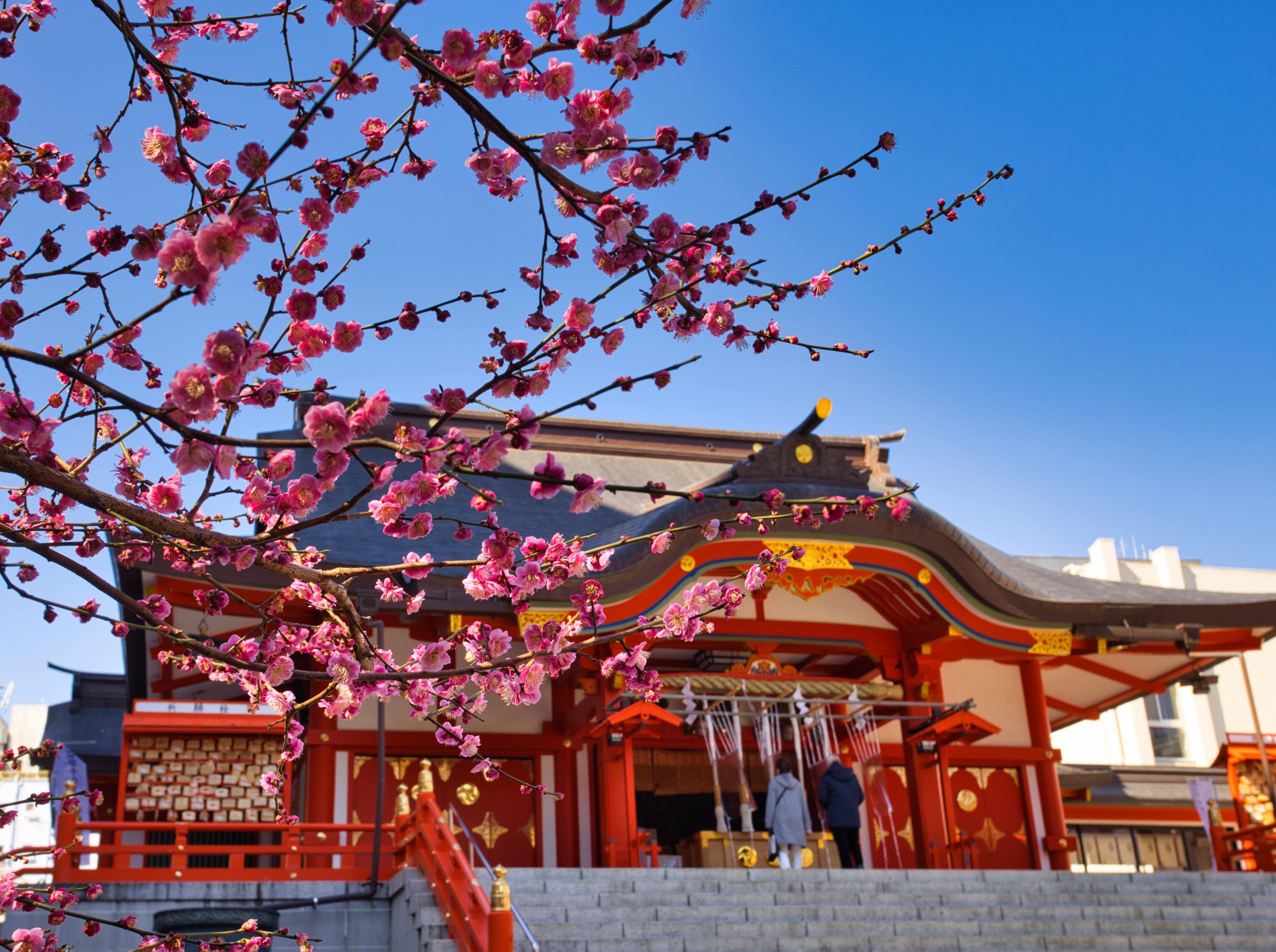 Hanazono Shrine in Shinjuku.