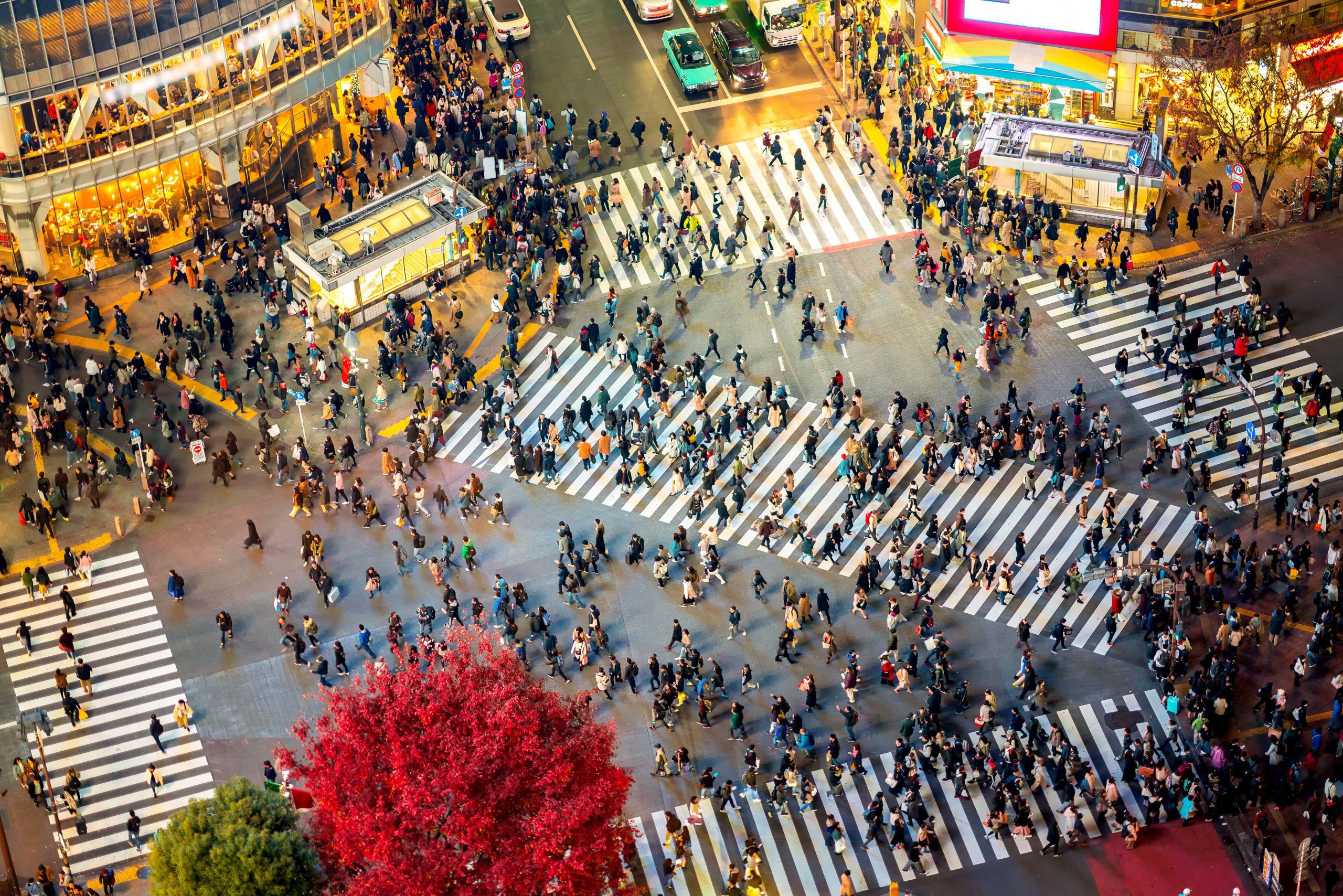 The beating heart of the city, Shibuya Crossing.