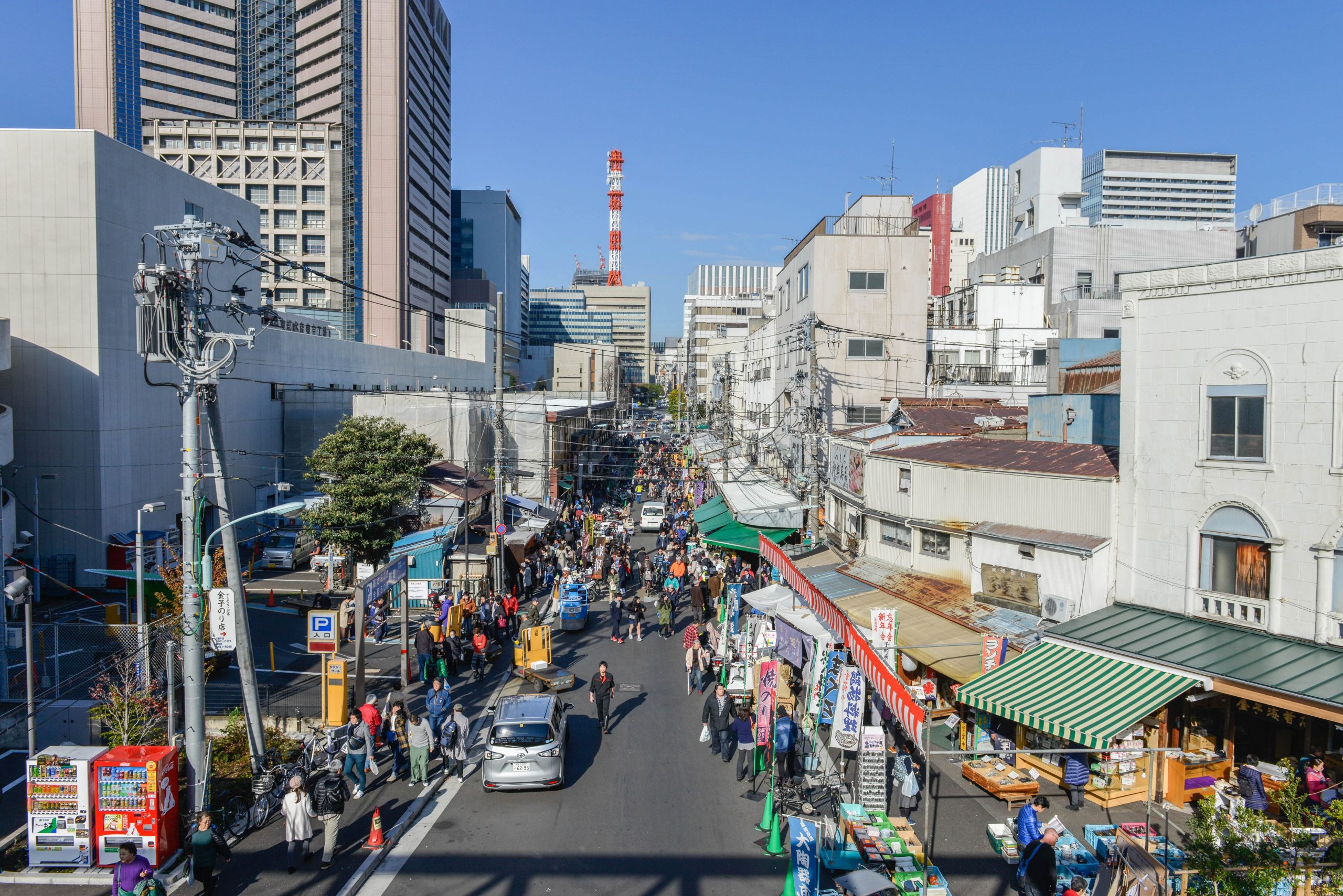 The legendary Tsukiji Fish Market.