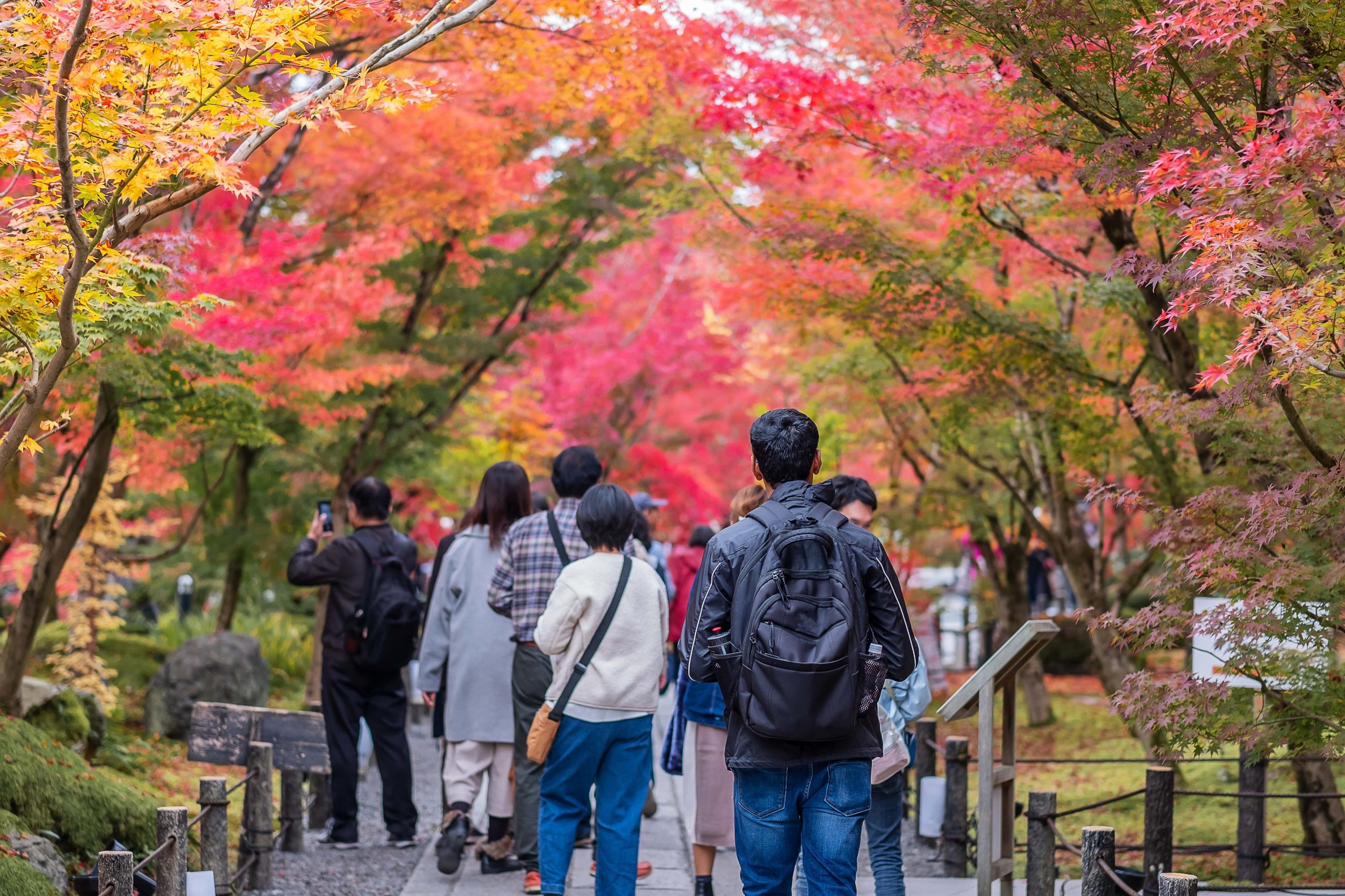 Kyoto is more than just a place, it’s an experience.