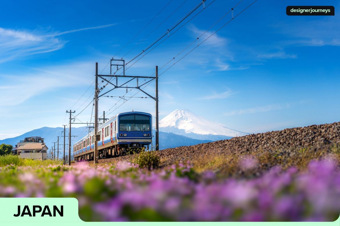 The Best Time to Travel to Japan Discover the Season That’s Perfect for You.