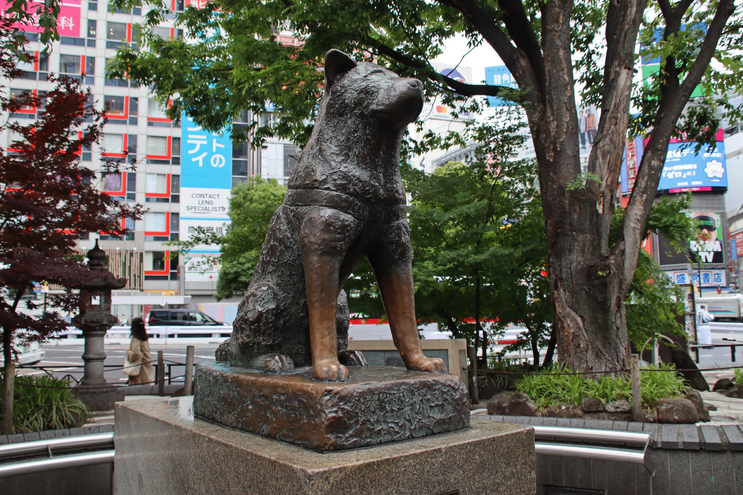 Hachiko Statue at Shibuya.