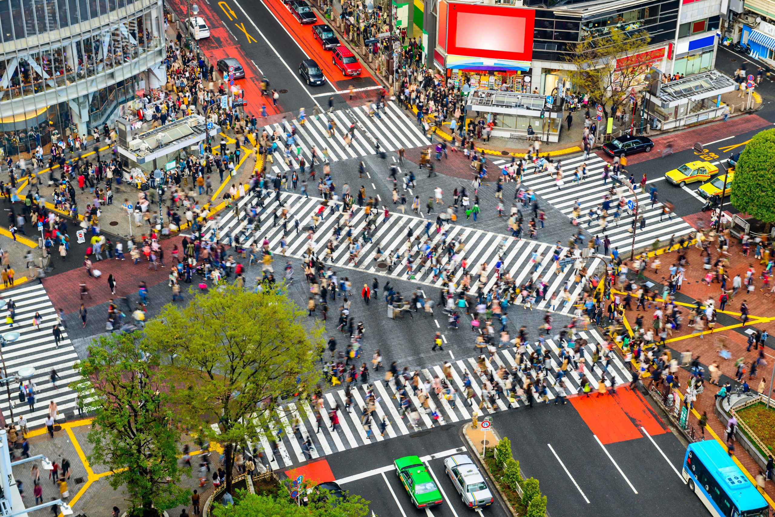 Shibuya Scramble Crossing in the morning.