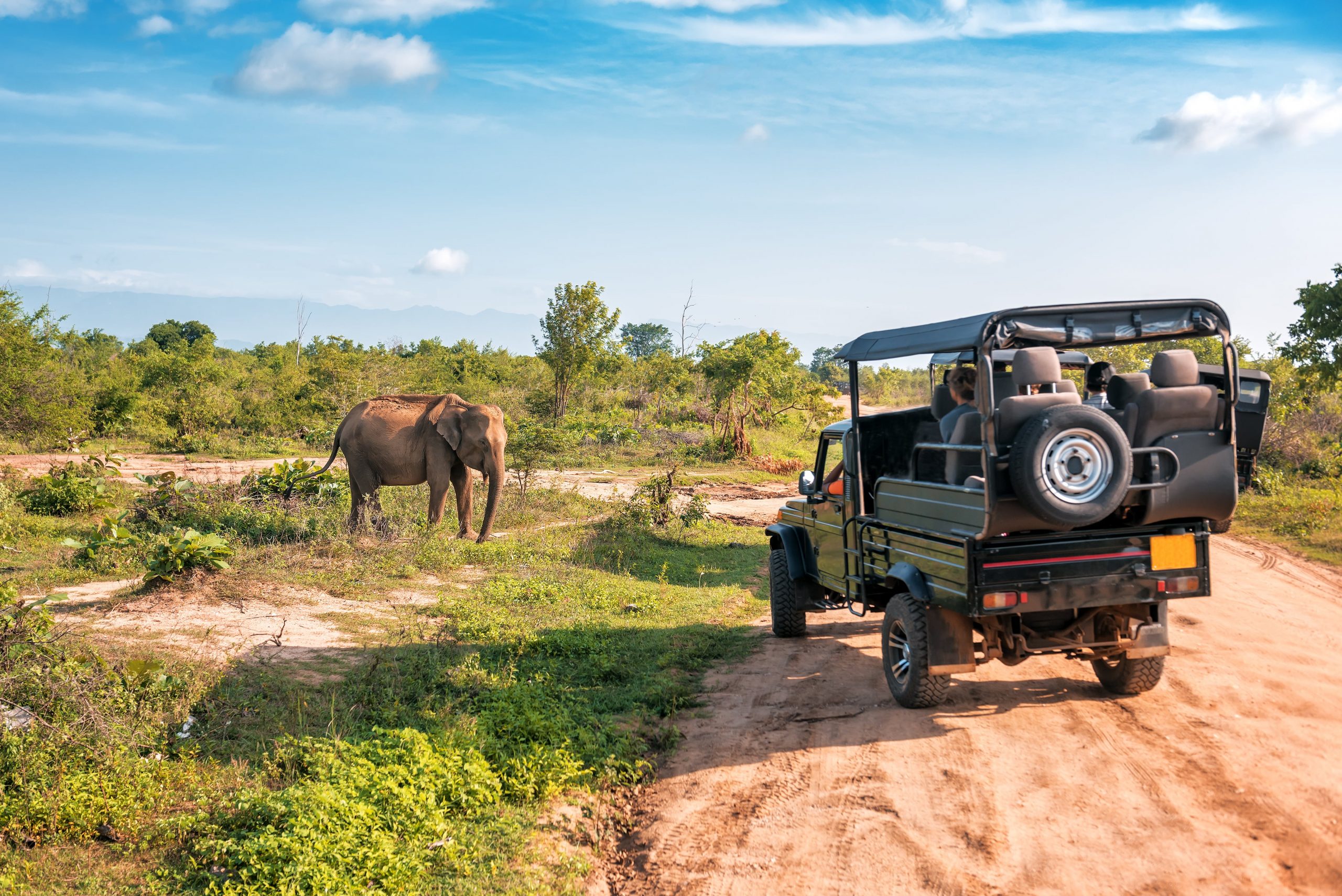Sri Lanka is a sanctuary for wildlife enthusiasts.