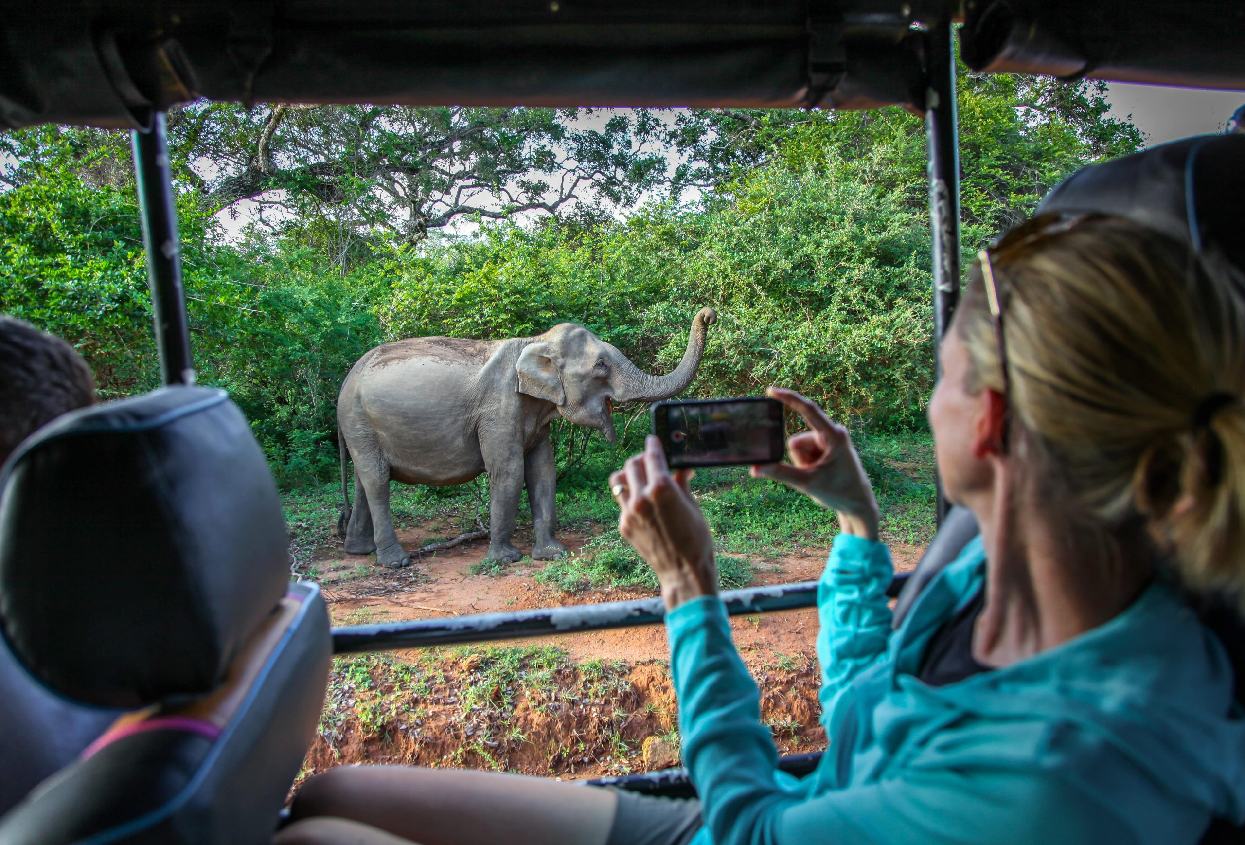 Safari in Yala National Park.