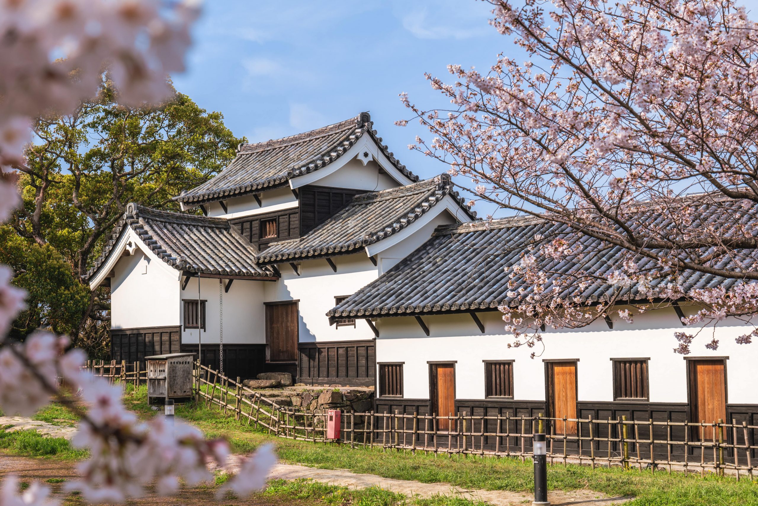 Fukuoka castle with cherry blossom.
