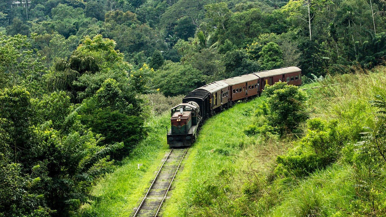Iconic blue train curving through lush Sri Lankan tea country between Kandy and Ella