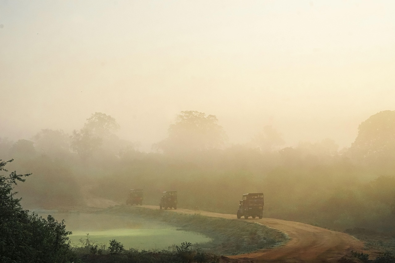 Jeep safari watching wild elephants in Yala National Park at sunrise