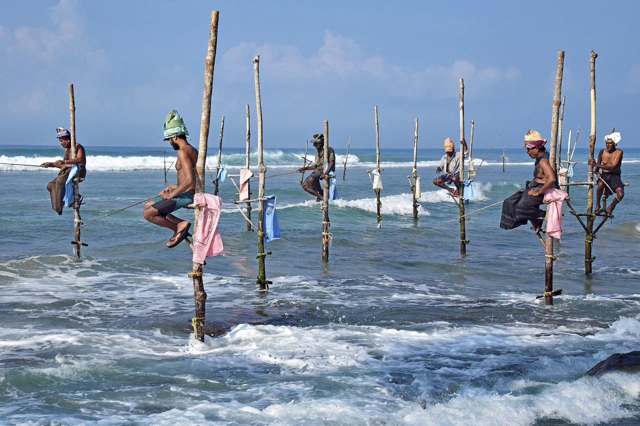 Stilt fishermen balancing on poles at sunrise near Matara, Sri Lanka