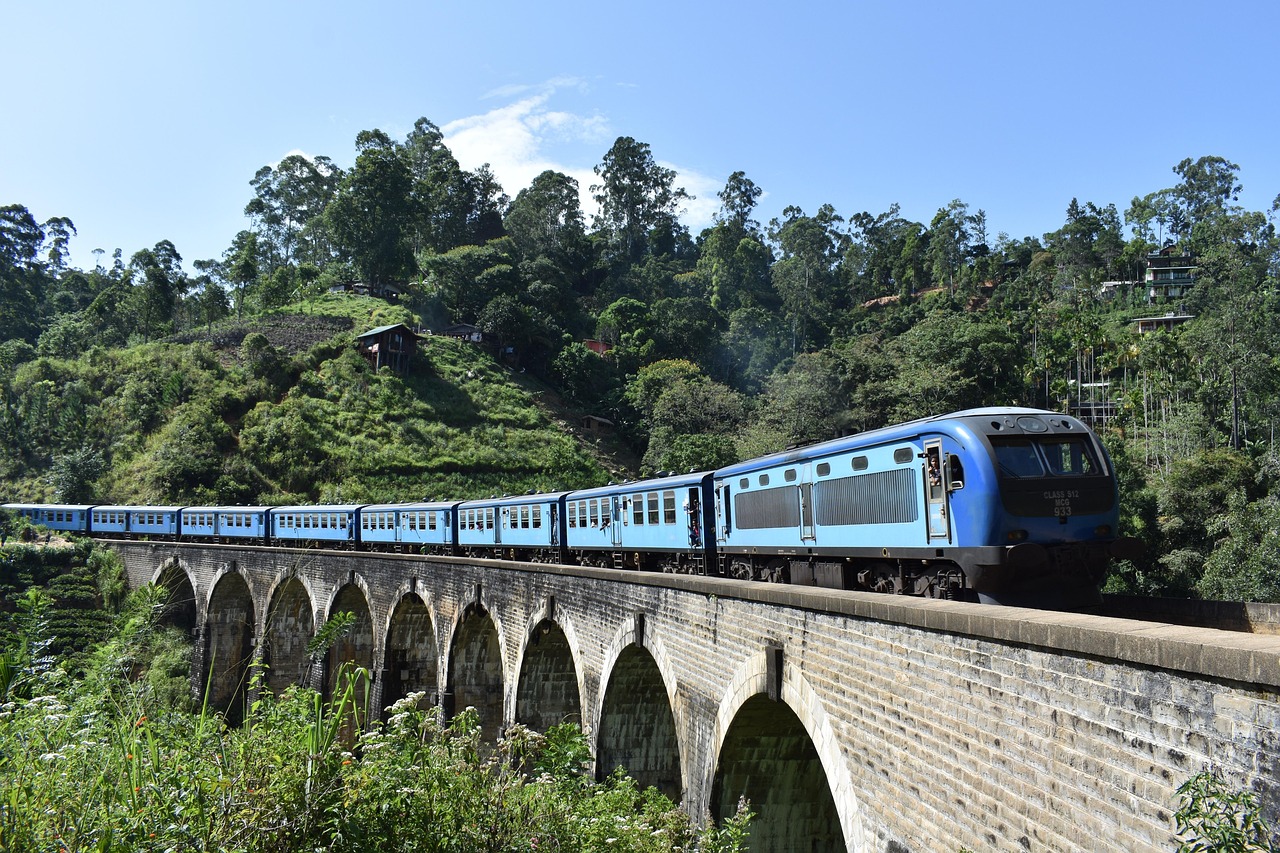 Train winding through lush Sri Lankan hills in the misty morning light