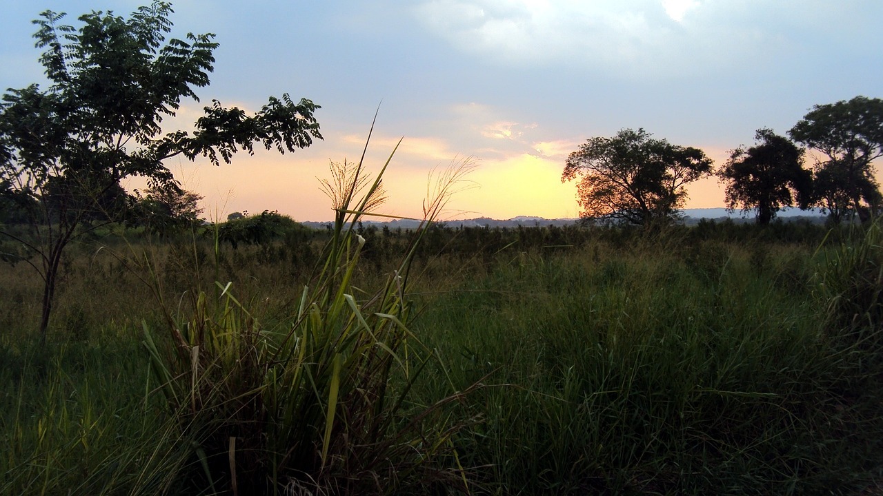 Golden sun setting over ancient ruins in Sri Lanka