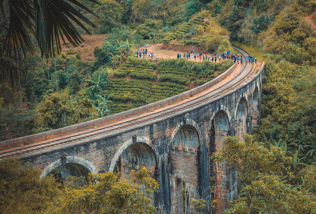 Sri Lanka’s iconic train crossing Nine Arch Bridge amidst verdant tea hills