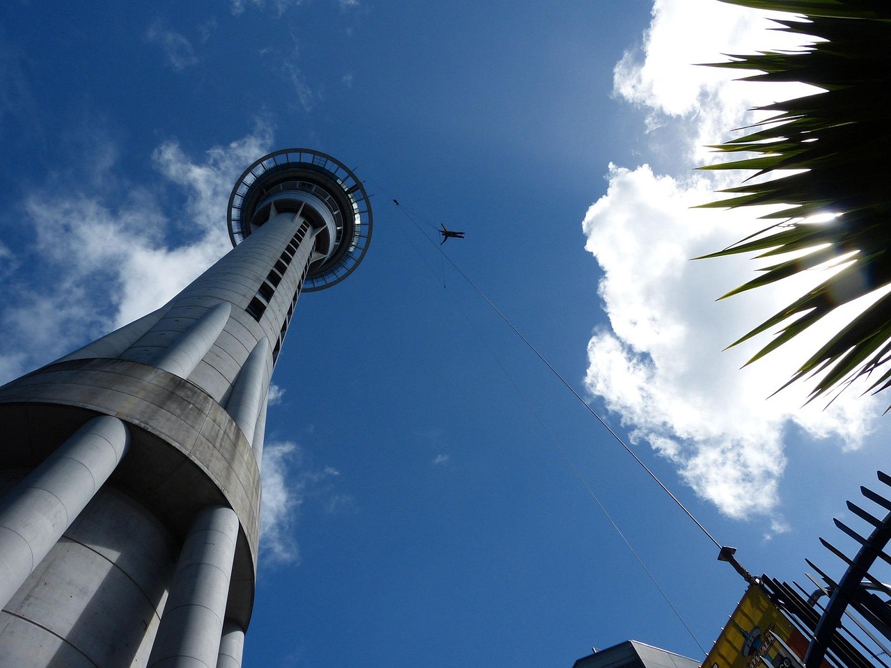 Sky Tower standing tall against Auckland’s skyline at sunset.