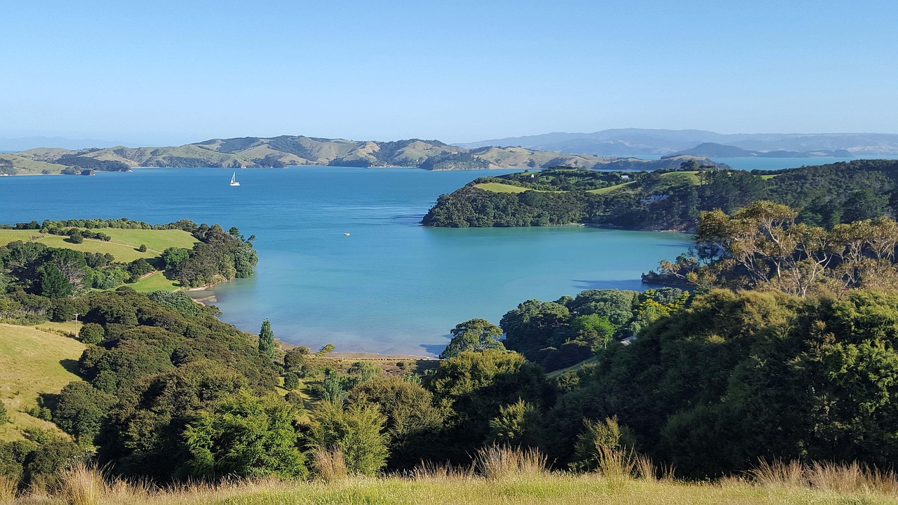 Waiheke Island vineyards sweeping across lush hillsides.
