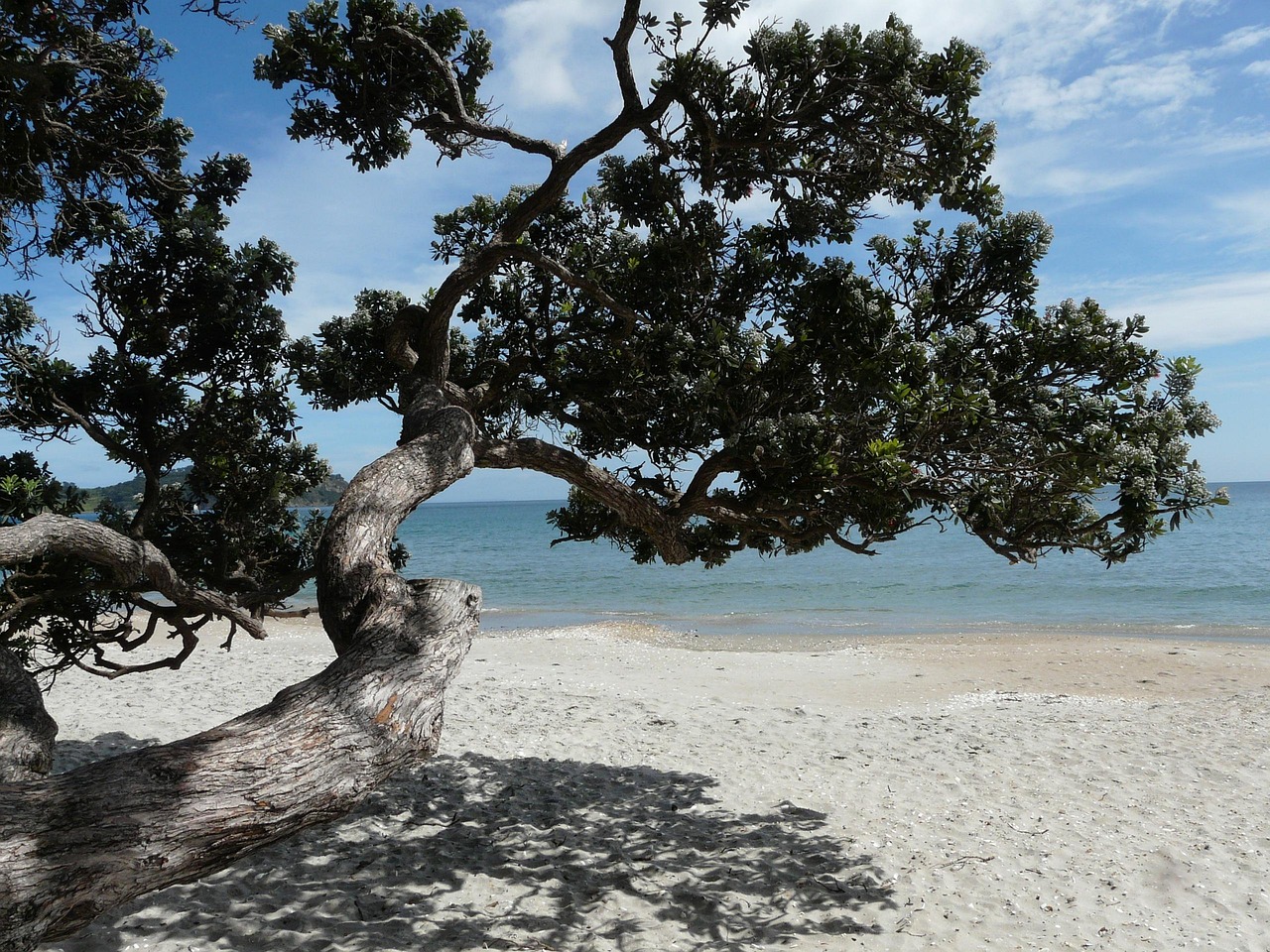 Waiheke Island’s peaceful vineyards and rolling hills are perfect for leisurely exploration and wine tasting.