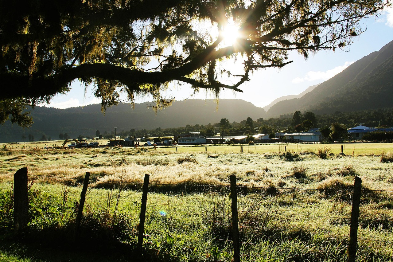 Leafy trails wind gently through Mount Eden’s green slopes, inviting every level of adventurer.