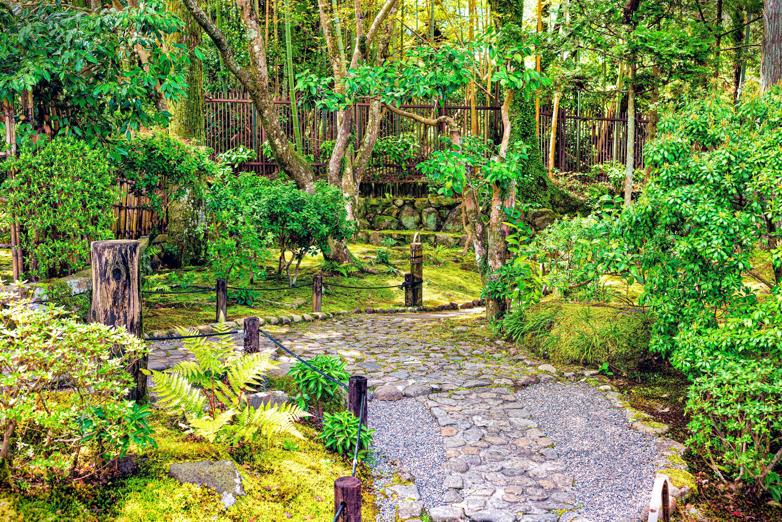 Traditional moss Yoshikien garden during spring.