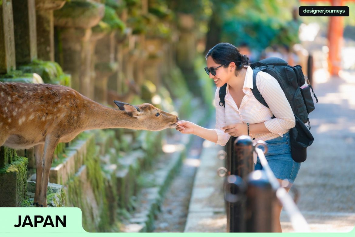 Discover the Best Things to Do in Nara