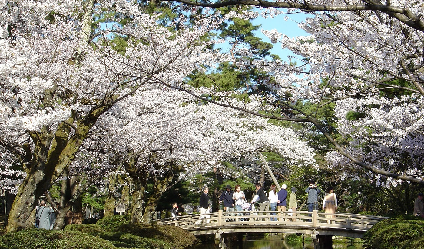 Kenrokuen is a masterpiece of landscape artistry.