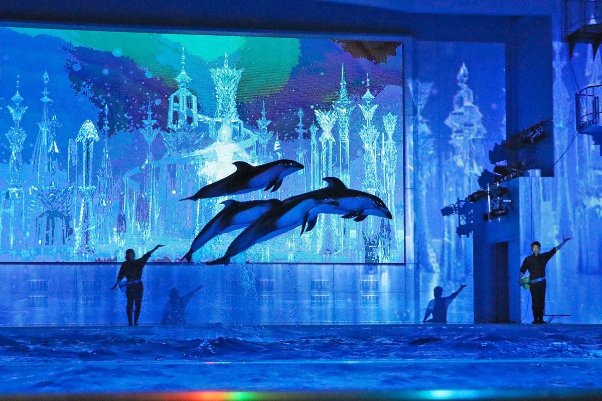 Umi Farm is an experiential aquarium where visitors can catch fish and eat them on the spot.
