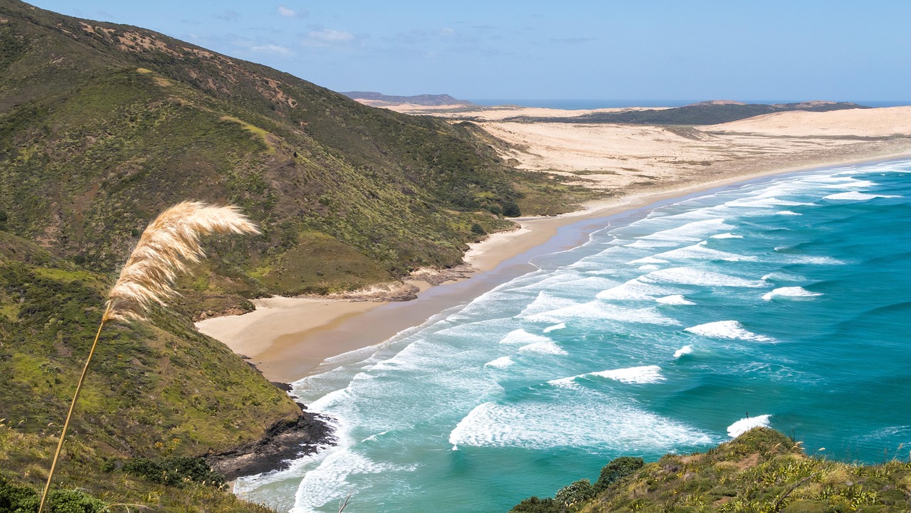 The Cape Reinga lighthouse watches over the meeting point of two oceans and the spiritual north of Aotearoa, New Zealand.