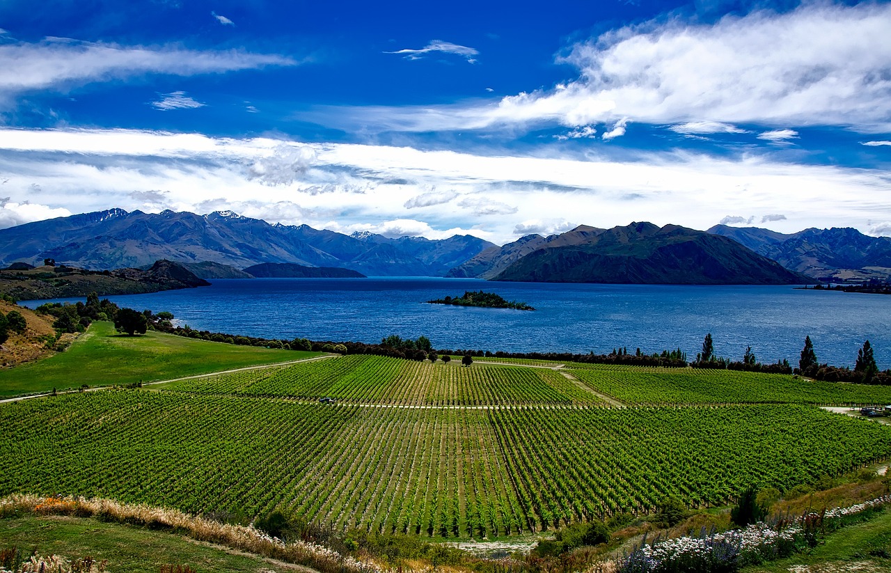 Napier’s art deco elegance meets the lush vineyards of Hawke’s Bay, where every taste and view is crafted for the curious explorer.