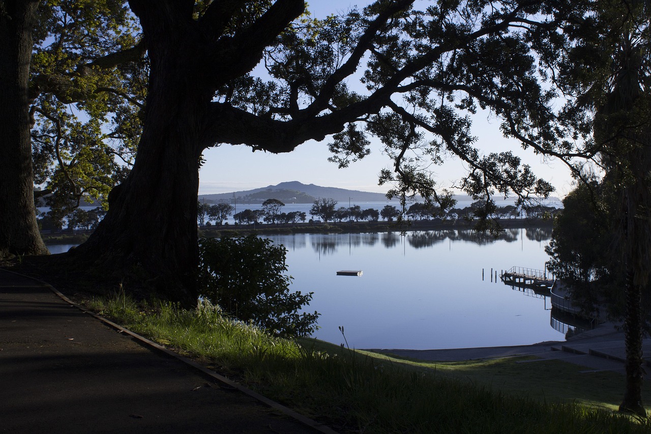 Whakanewha Regional Park’s trails lead adventurers through tranquil native bush.