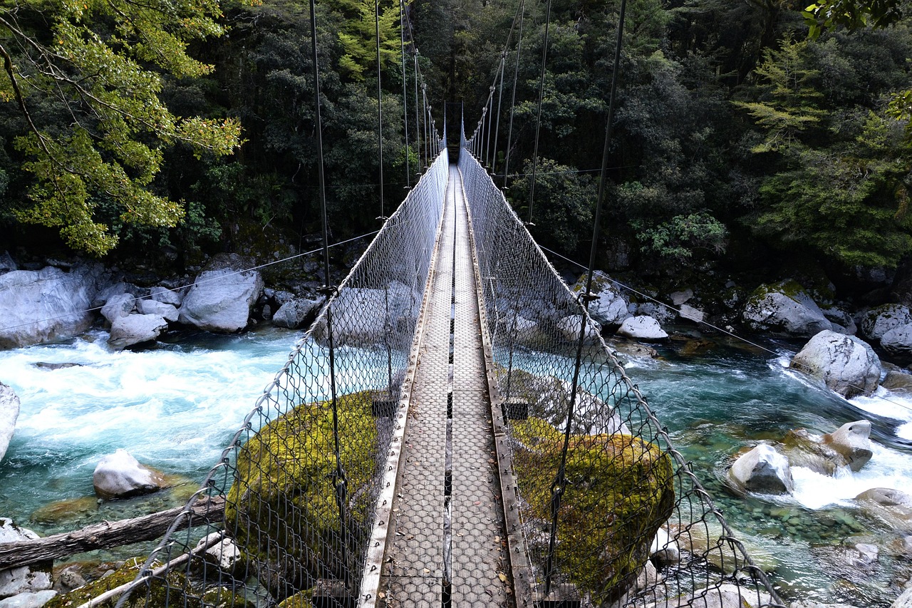 Every journey in New Zealand is a bridge to new adventure and lasting stories—let your next story begin.