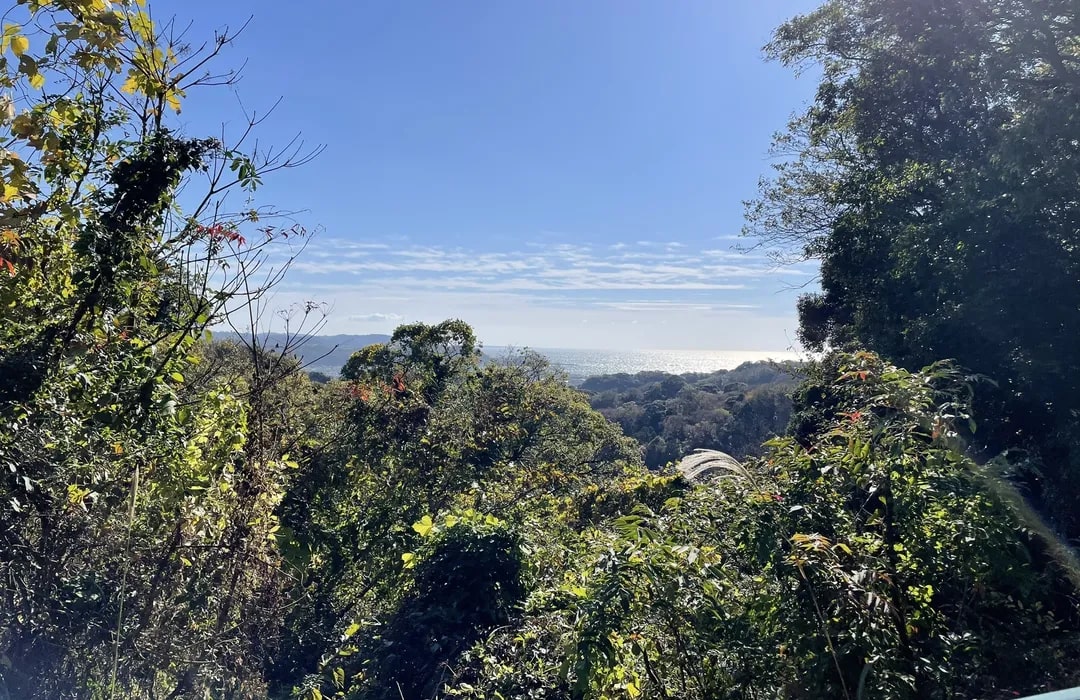 Hiking trails lead through these woods and connect various temples and shrines.