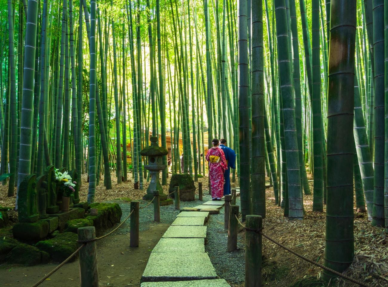 Hokokuji Temple is popularly nicknamed "Bamboo Temple".