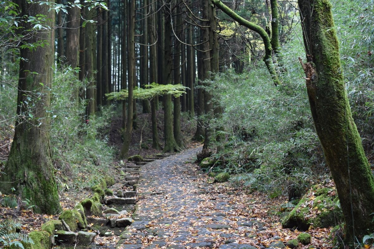 The Hakone region contains some of the best-preserved sections of the highway.