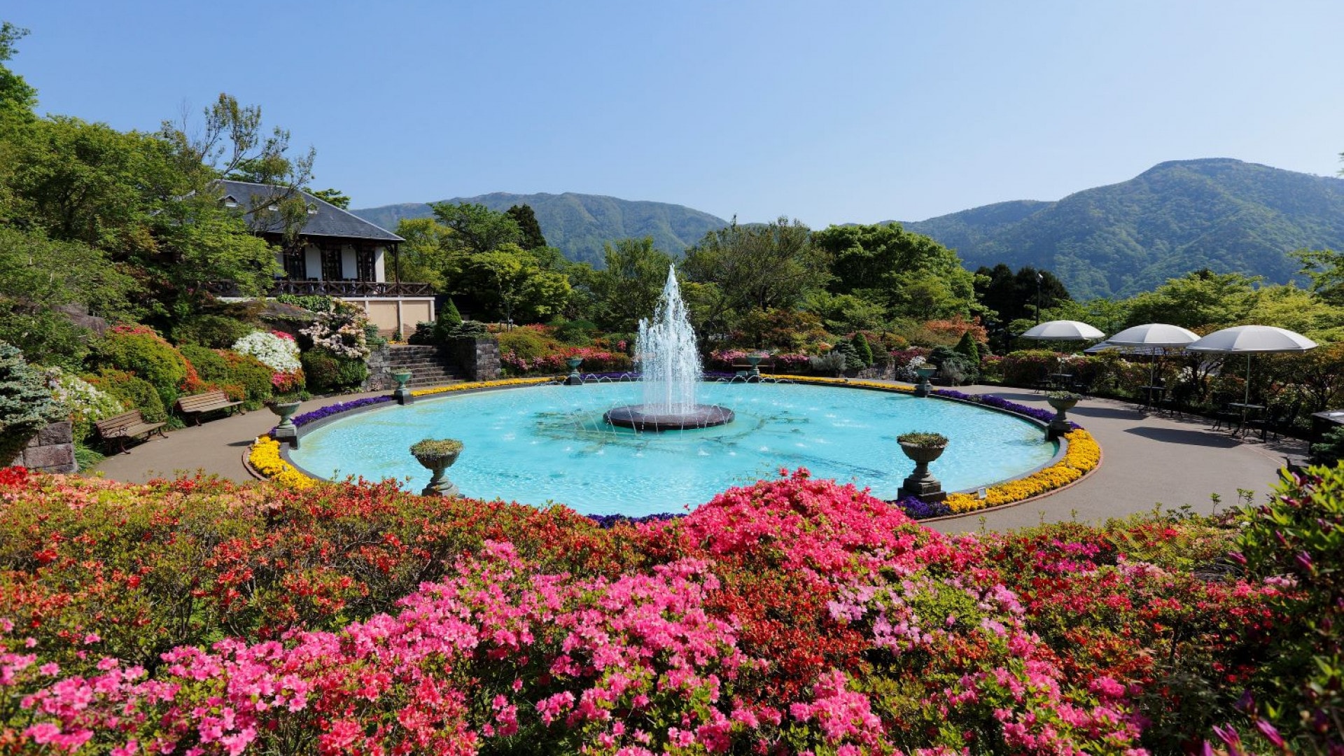 The park has greenhouses, including one with a tropical botanical garden.