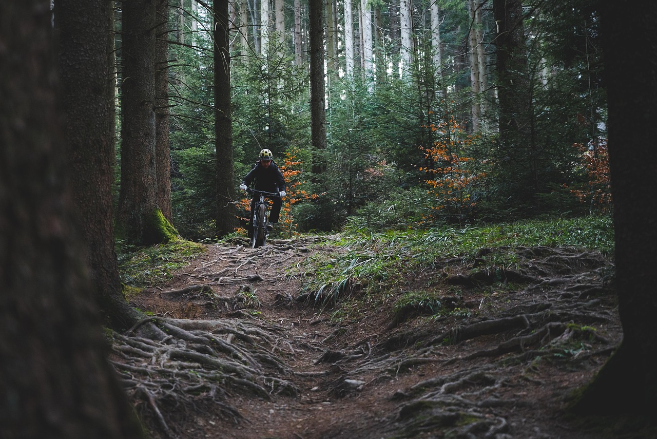 Enjoy crafted cycling experiences along the Hauraki Rail Trail, Matamata’s link to adventure.